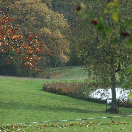Barnt Green Woodlands Bed & Breakfast מראה חיצוני תמונה
